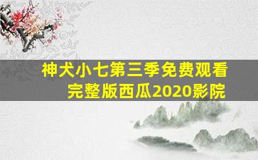 神犬小七第三季免费观看完整版西瓜2020影院