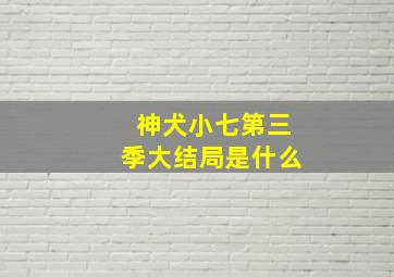 神犬小七第三季大结局是什么