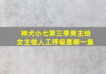 神犬小七第三季男主给女主做人工呼吸是哪一集