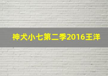 神犬小七第二季2016王洋