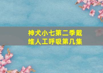 神犬小七第二季戴维人工呼吸第几集