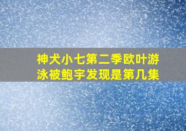 神犬小七第二季欧叶游泳被鲍宇发现是第几集