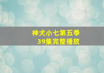 神犬小七第五季39集完整播放