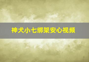 神犬小七绑架安心视频