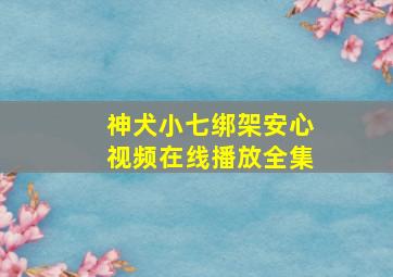 神犬小七绑架安心视频在线播放全集