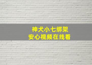 神犬小七绑架安心视频在线看