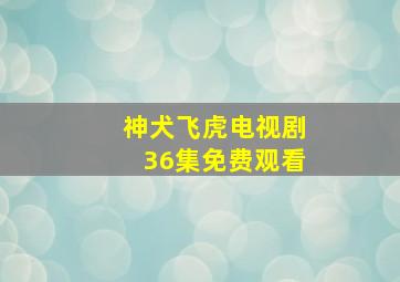 神犬飞虎电视剧36集免费观看