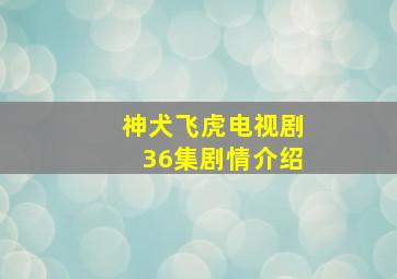 神犬飞虎电视剧36集剧情介绍