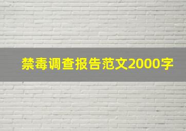 禁毒调查报告范文2000字