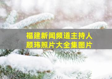 福建新闻频道主持人顾玮照片大全集图片