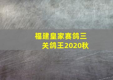 福建皇家赛鸽三关鸽王2020秋