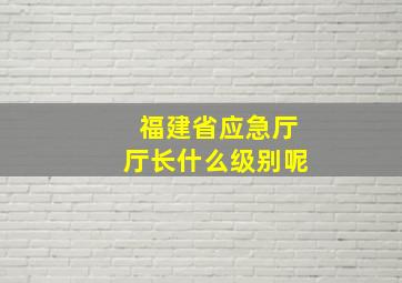 福建省应急厅厅长什么级别呢