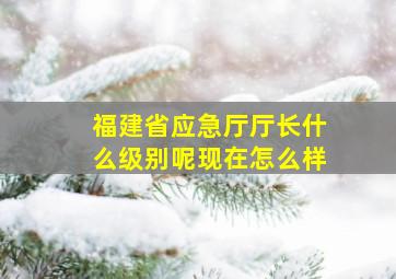 福建省应急厅厅长什么级别呢现在怎么样