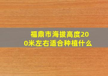 福鼎市海拔高度200米左右适合种植什么