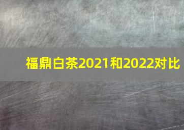 福鼎白茶2021和2022对比