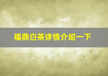 福鼎白茶详情介绍一下