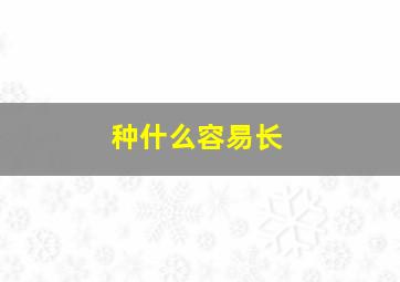 种什么容易长