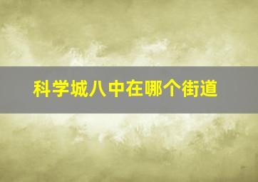 科学城八中在哪个街道