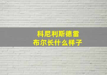 科尼利斯德雷布尔长什么样子