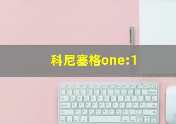 科尼塞格one:1