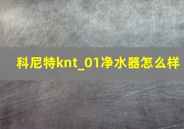 科尼特knt_01净水器怎么样