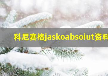 科尼赛格jaskoabsoiut资料