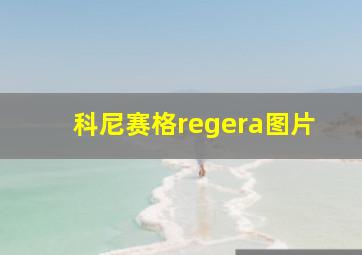 科尼赛格regera图片