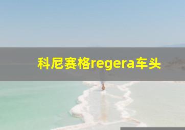 科尼赛格regera车头