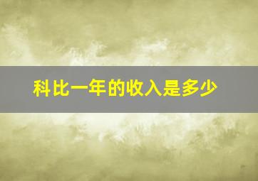 科比一年的收入是多少