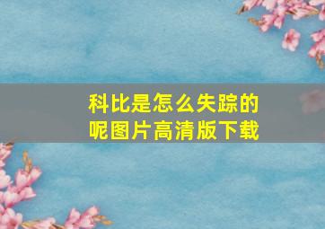 科比是怎么失踪的呢图片高清版下载