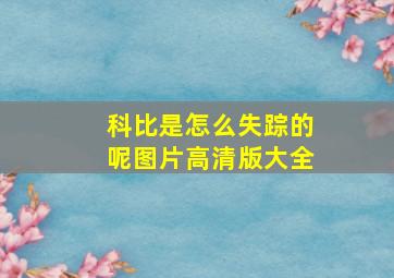 科比是怎么失踪的呢图片高清版大全