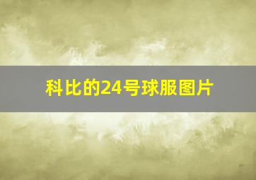 科比的24号球服图片