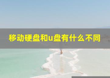 移动硬盘和u盘有什么不同