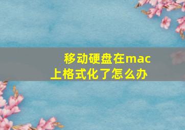 移动硬盘在mac上格式化了怎么办