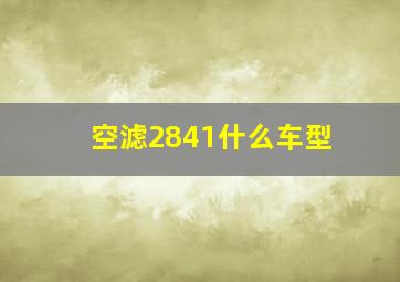 空滤2841什么车型