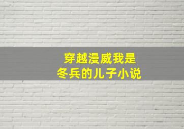 穿越漫威我是冬兵的儿子小说