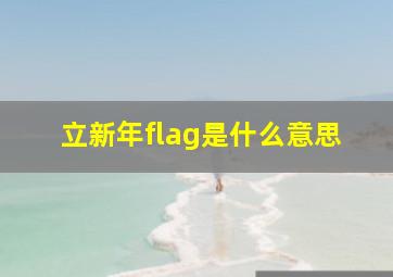 立新年flag是什么意思