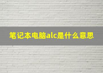 笔记本电脑alc是什么意思