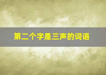 第二个字是三声的词语