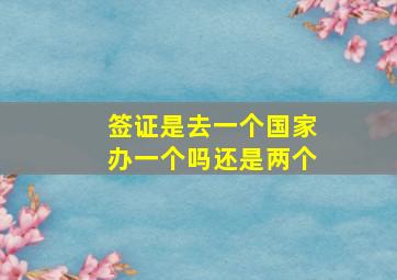 签证是去一个国家办一个吗还是两个