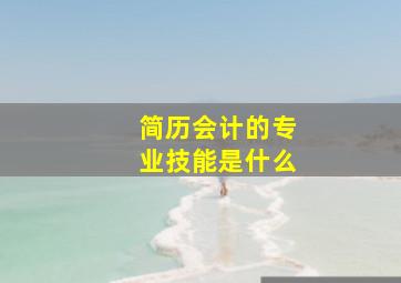 简历会计的专业技能是什么