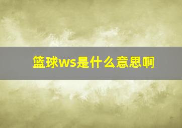 篮球ws是什么意思啊