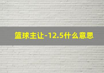 篮球主让-12.5什么意思