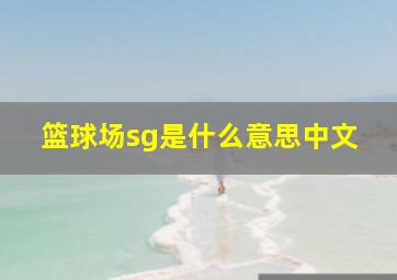 篮球场sg是什么意思中文