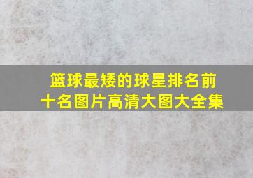 篮球最矮的球星排名前十名图片高清大图大全集