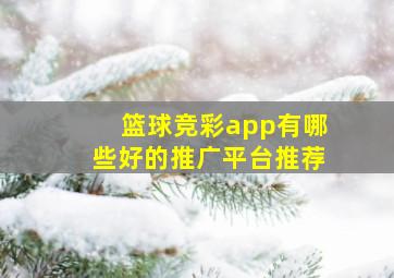 篮球竞彩app有哪些好的推广平台推荐