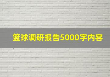 篮球调研报告5000字内容