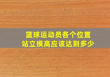 篮球运动员各个位置站立摸高应该达到多少