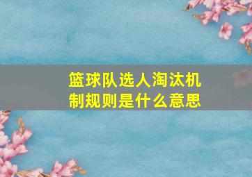 篮球队选人淘汰机制规则是什么意思