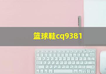 篮球鞋cq9381